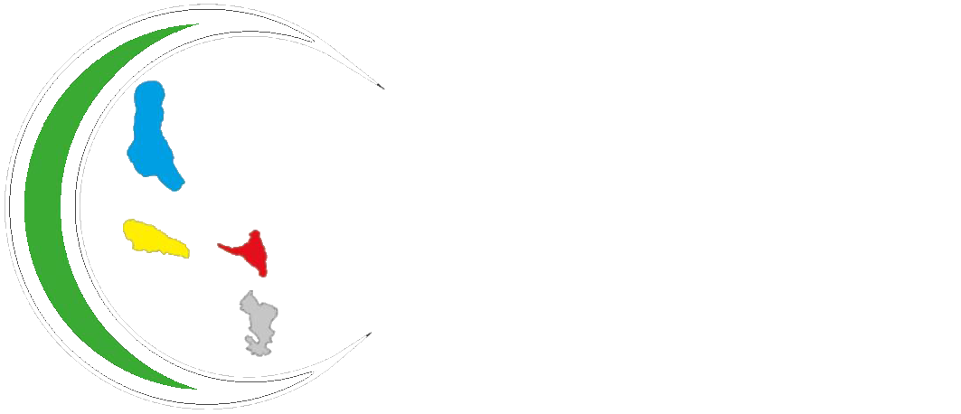 Footer logo